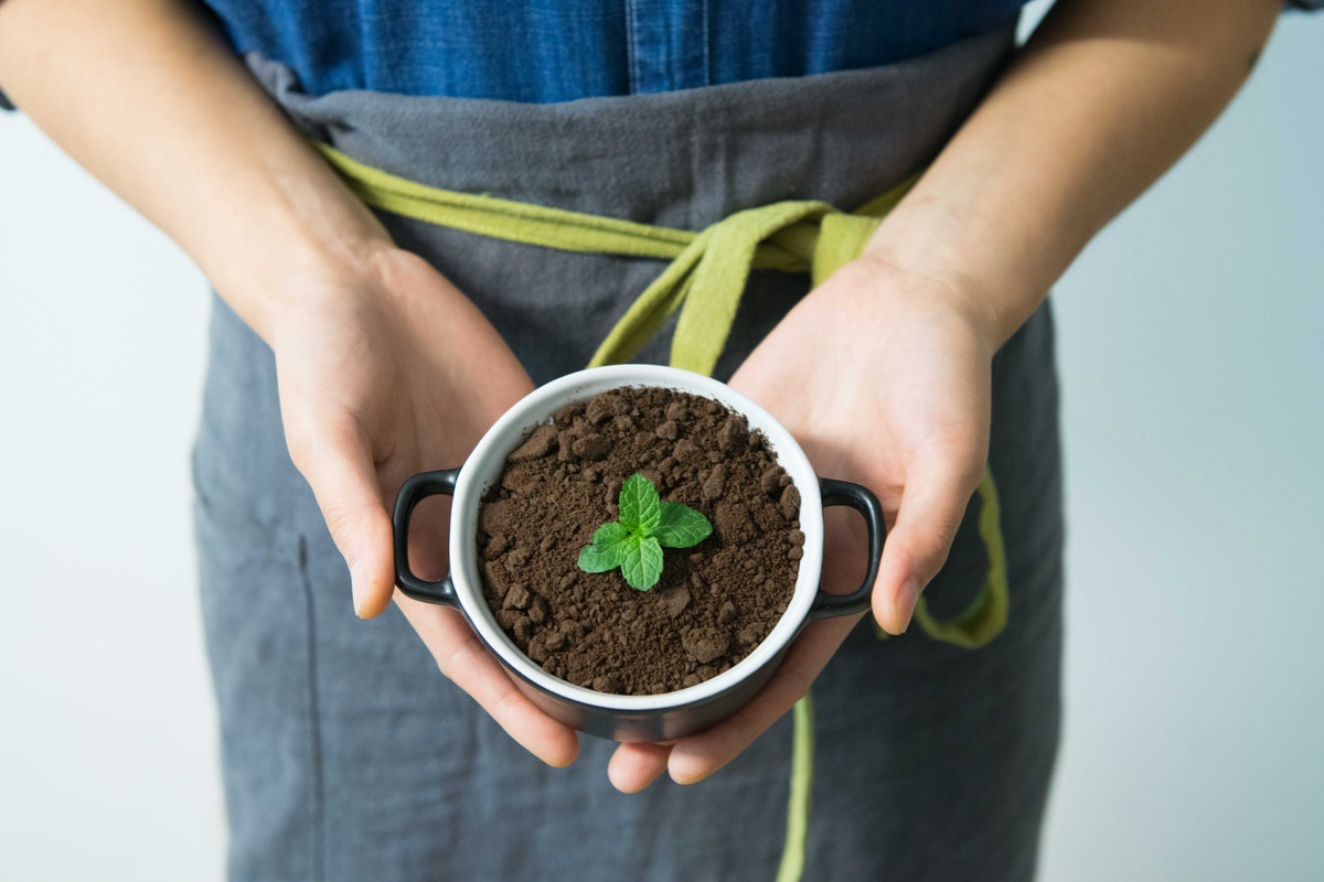 How to Properly Care for Your Apartment Plants