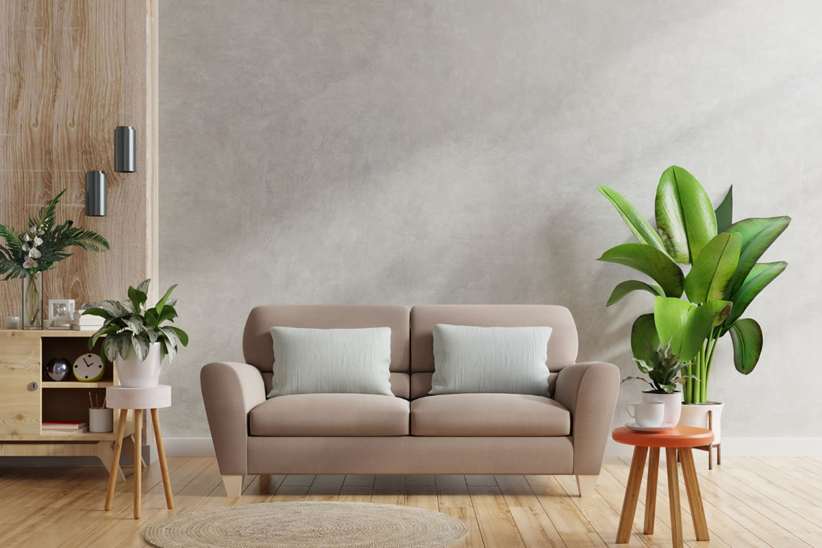 Five Indoor Plants that Are Great for Apartments