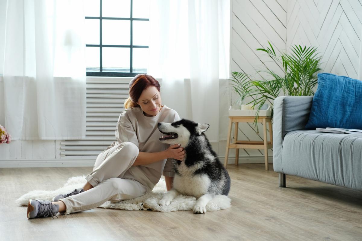 What Pets are Suitable for Apartment Living?