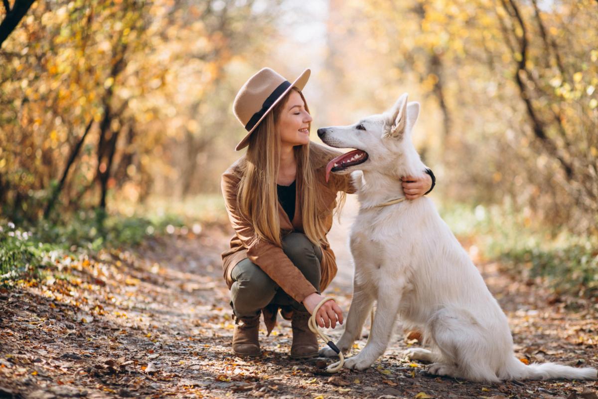 Three Reasons Why All Apartments Should Be Dog Friendly