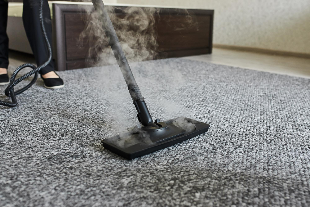 The Ultimate Guide to Removing Carpet Stains in Your Apartment