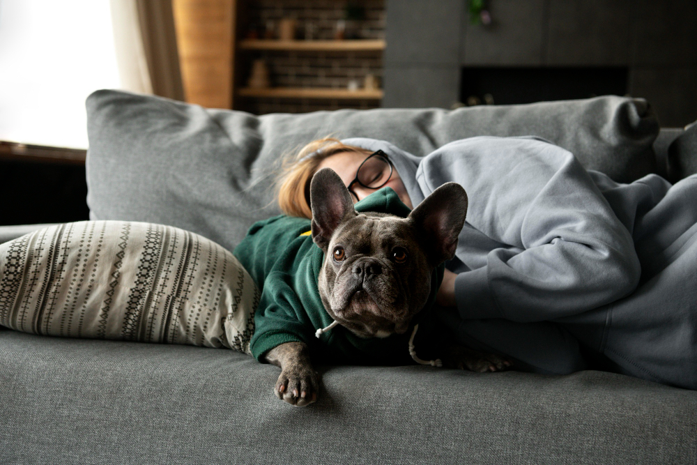 The Top Picks for Best Apartment Dogs