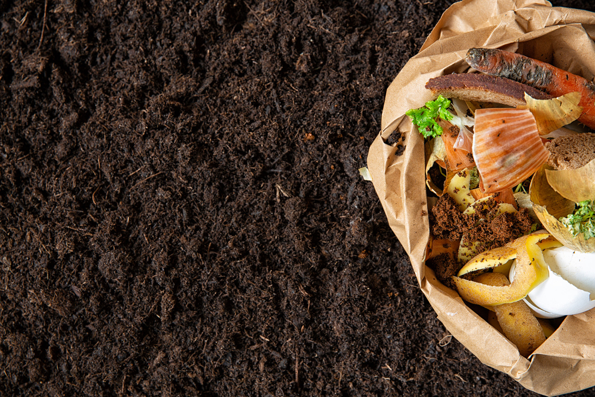 Creating Compost in Your Apartment Made Easy