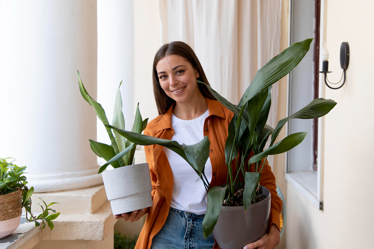 Spruce Up Your Apartment By Adding Greenery