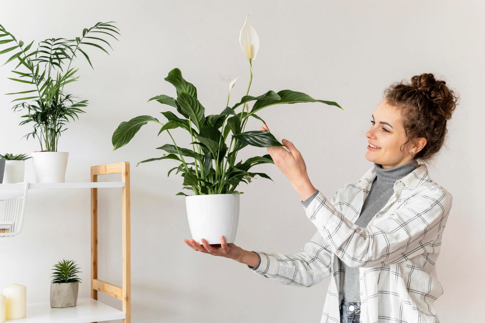 Easy Plants Your Apartment Needs Right Now