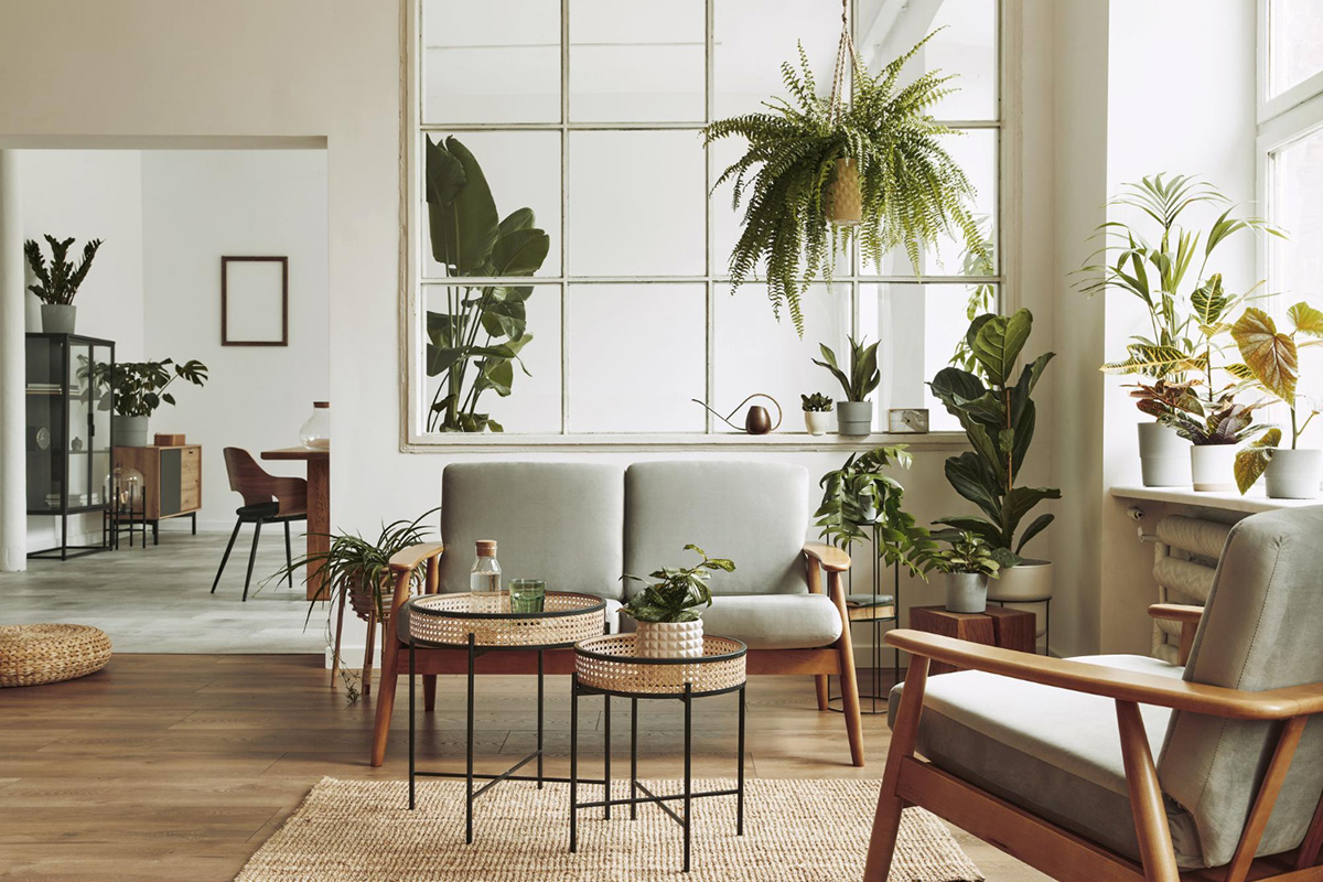 A Guide to Eco-Friendly Apartment Living