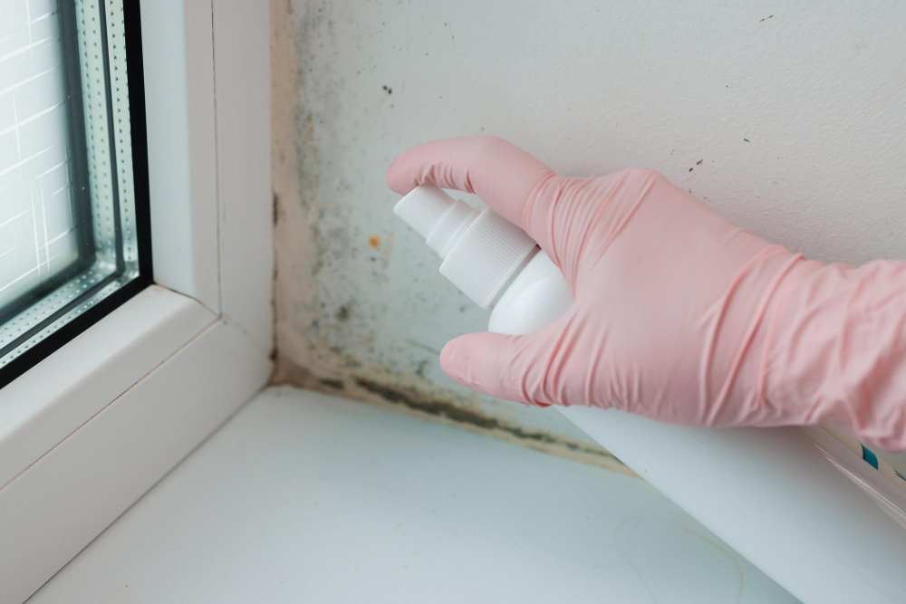 A Complete Guide on How to Spot and Remove Bathroom Mold