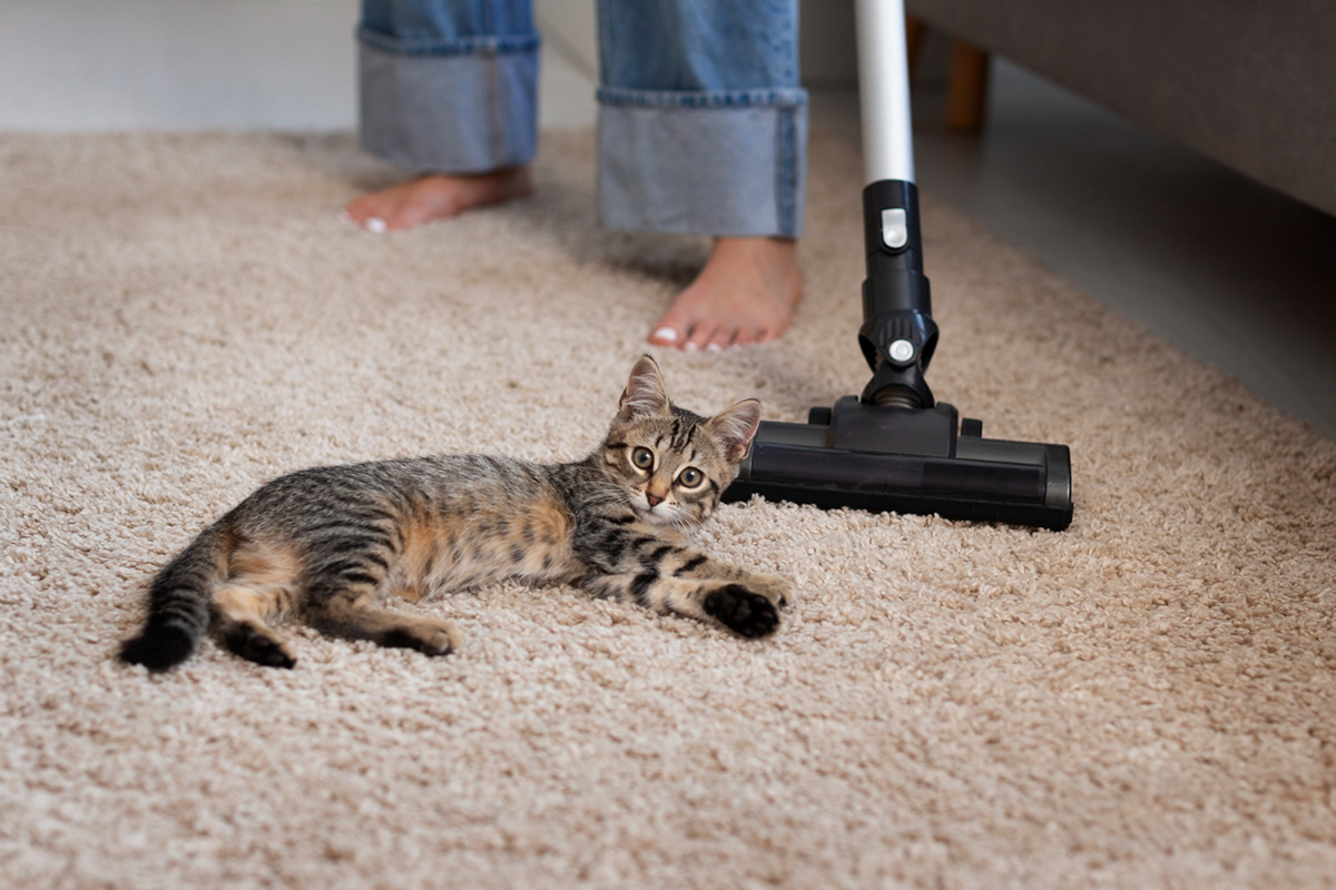 Tips for Keeping Your Apartment Clean with Pets