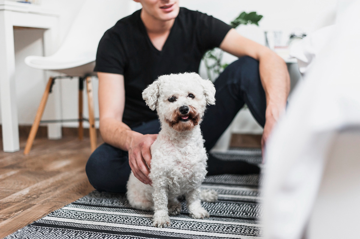 Keep Your Apartment Clean with These Dog Grooming Tips