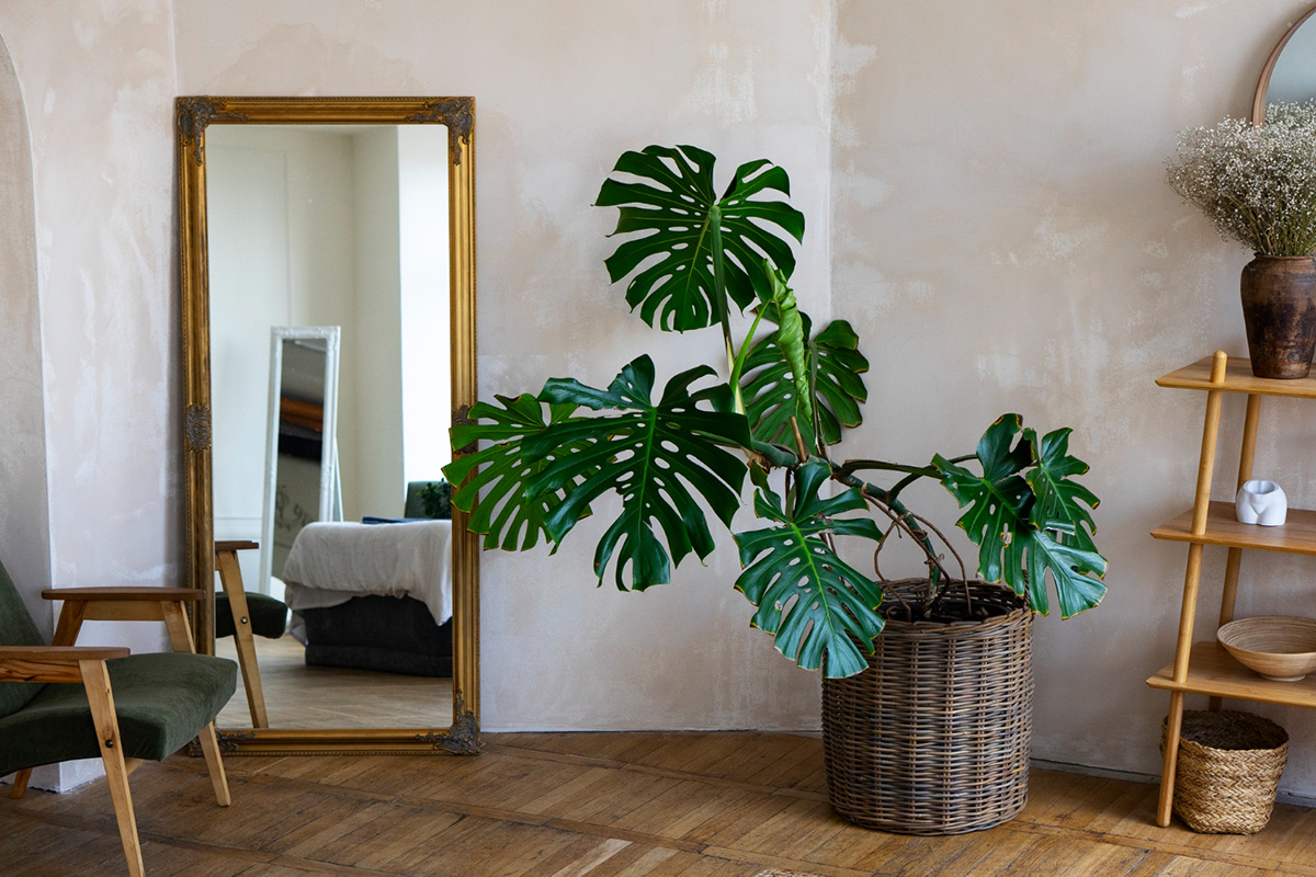 Simple Tricks to Make a Small Space Feel Big
