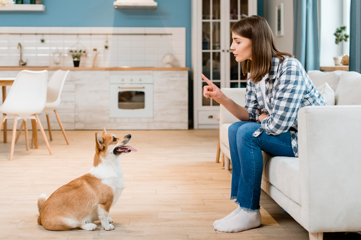 Keeping Your Home Clean while Living with Pets