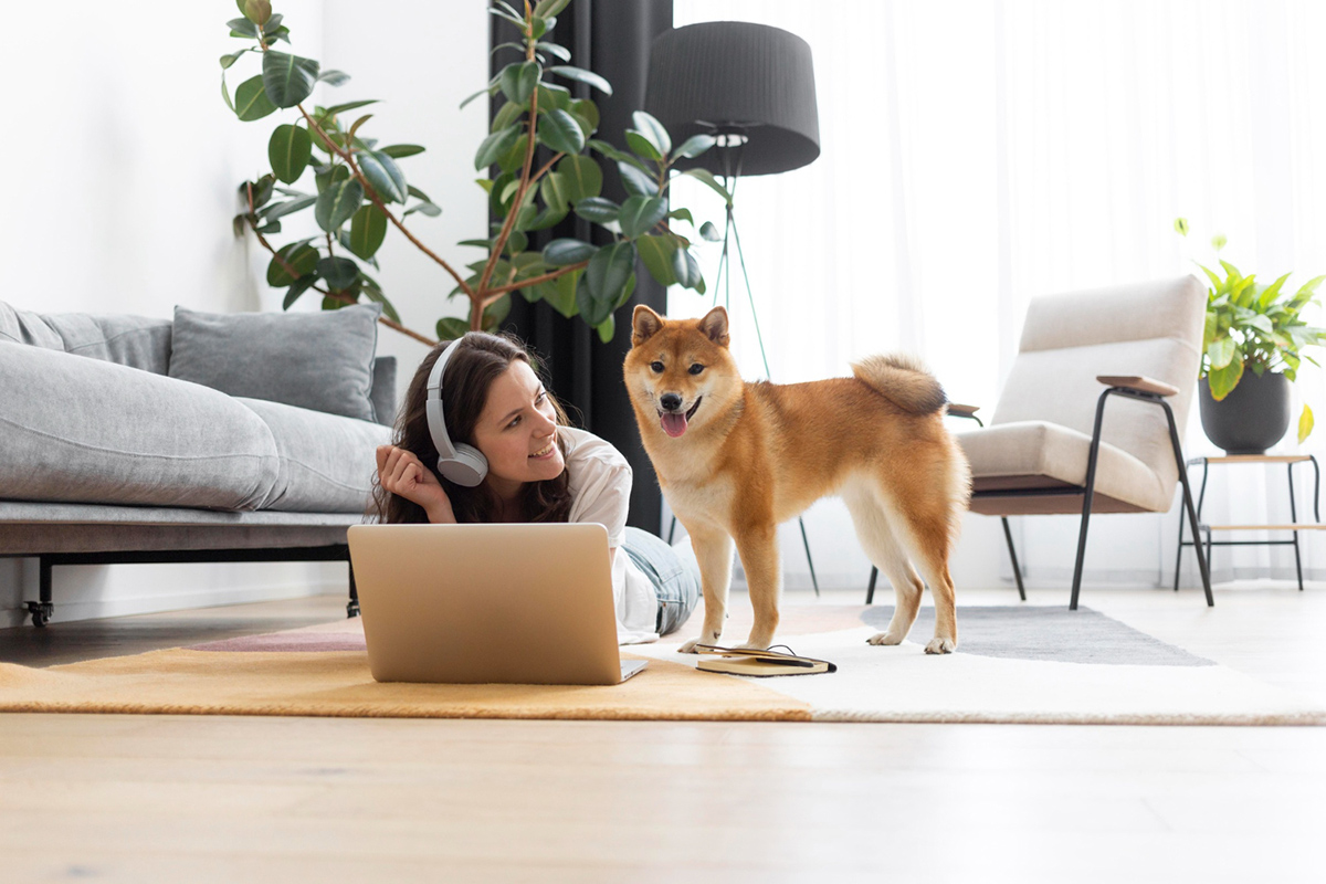 Tips to Keep Your Dog Safe and Your Landlord Happy