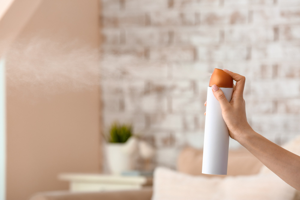 The Ultimate Guide to Eliminating Odors in Your Apartment