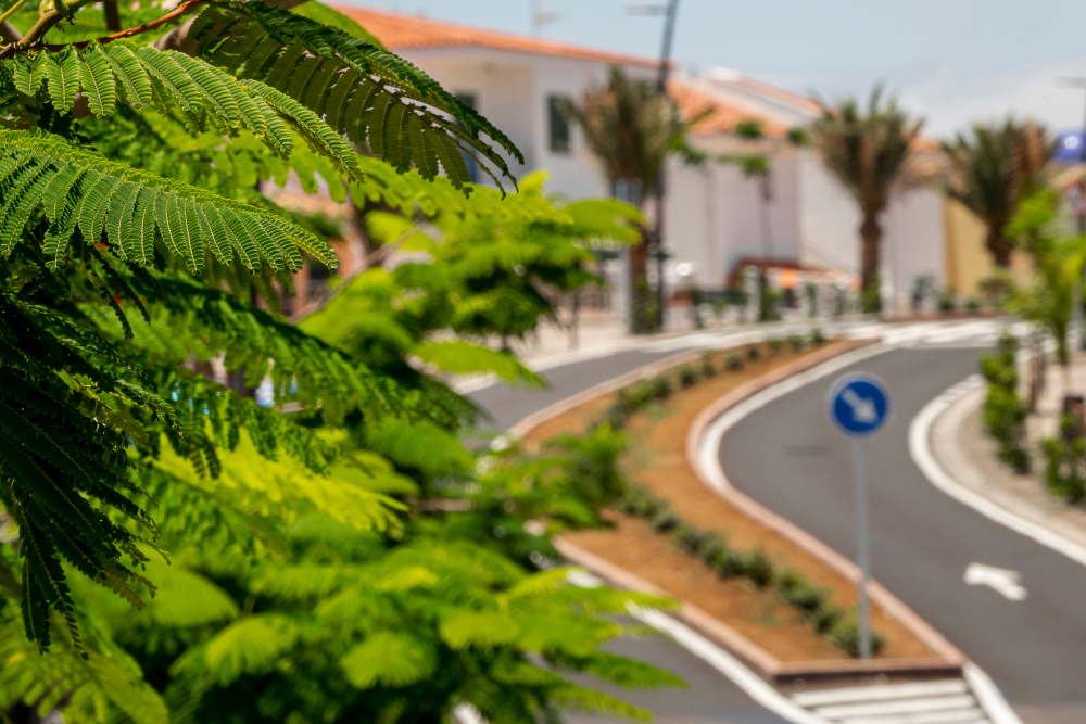 5 Spots Locals Love in Fort Myers