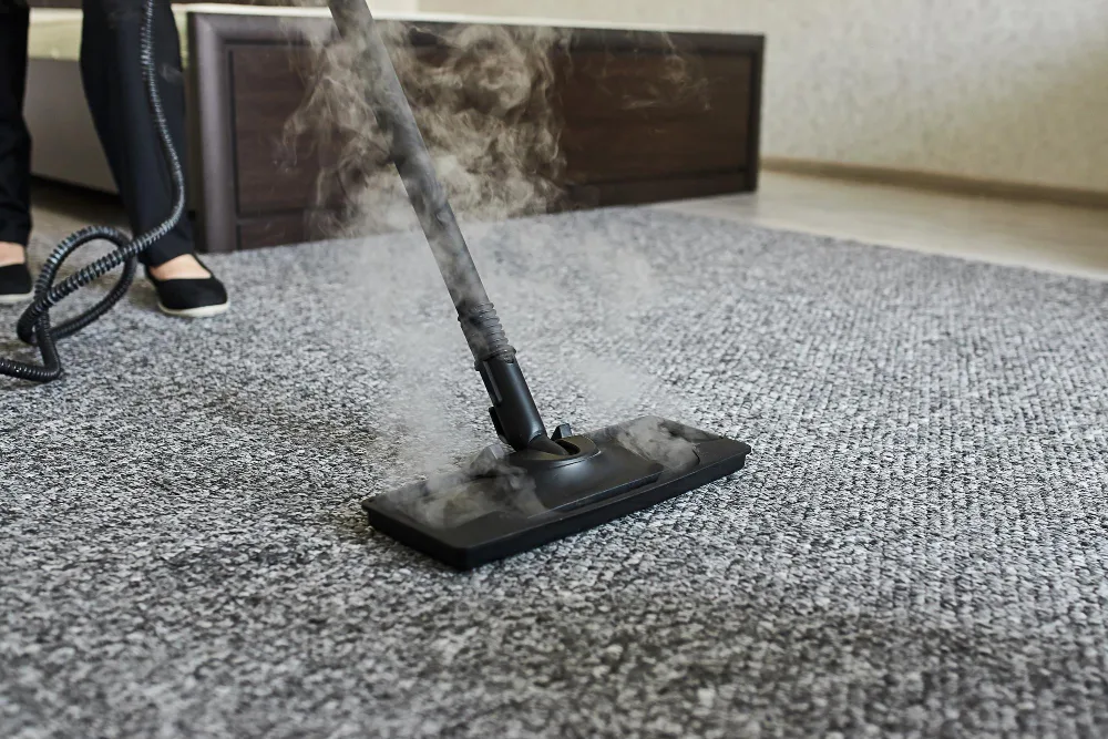 The Ultimate Guide to Removing Carpet Stains in Your Apartment