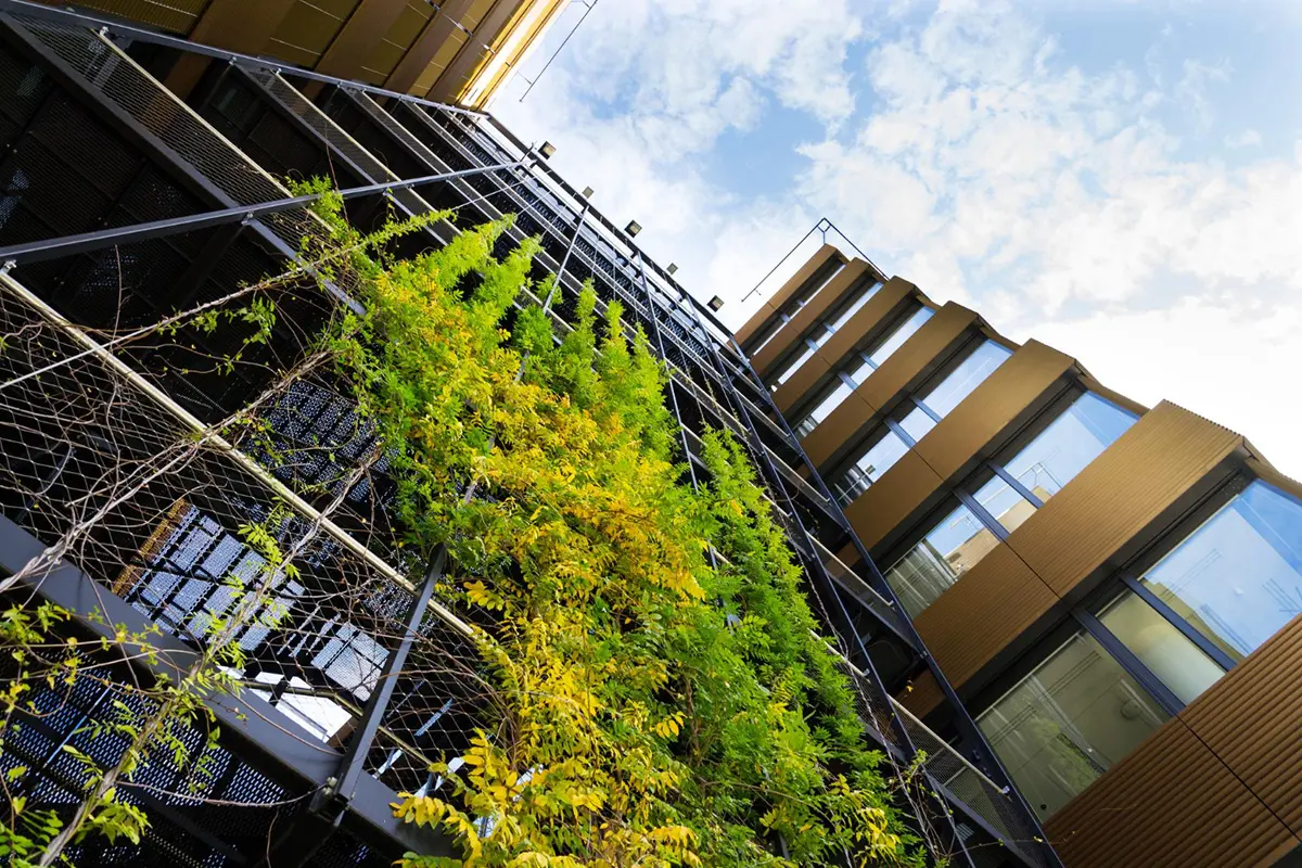 Sustainable Housing Trends: The Future is Eco-Friendly
